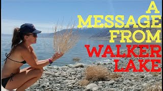 A Message of Hope From Walker Lake Quarantine Vlog 3 [upl. by Martineau]