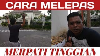 MELEPAS MERPATI TINGGIAN YANG BENAR [upl. by Imogene]