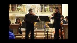 TelemannConcerto for Two Violas in G Major TWV 52 G3 [upl. by Ettezel]