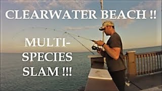 Clearwater Beach FISHING Florida 19 Part 2 [upl. by Novihc477]