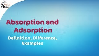 Absorption and Adsorption  Definition Difference Examples [upl. by Adnicaj]