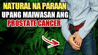 ITO PALA ANG NATURAL NA PARAAN UPANG MAKAIWAS SA PROSTATE CANCER [upl. by Eilla]