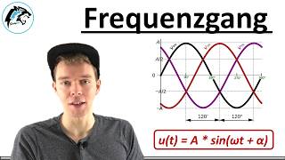 Frequenzgang – Amplitude amp Phasenlage  Regelungstechnik [upl. by Ynnob]