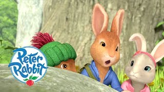 Peter Rabbit  Meeting all the Rabbits and Friends  Cartoons for Kids [upl. by Jeroma671]