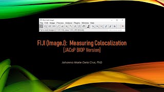 FIJI ImageJ Measuring Colocalization JACoP BIOP Version [upl. by Lraep589]