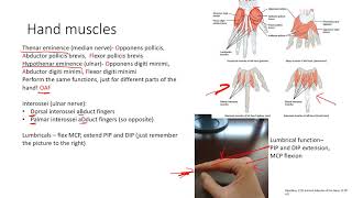 Additional MSK Injuries  MSK  Step 1 Simplified [upl. by Hestia132]