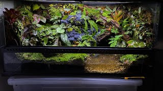 PALUDARIUM TUTORIAL  Step by step [upl. by Ennaeus]