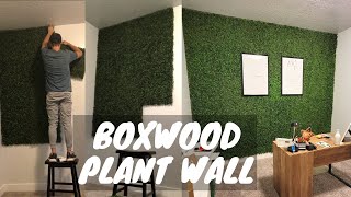 Faux Boxwood Plant Wall EASY DIY [upl. by Methuselah]