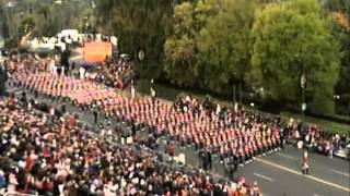 Marching Bands of the 2013 124th Tournament of Roses Parade [upl. by Refinney265]