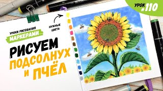 Как нарисовать подсолнух и пчёл  Видеоурок по рисованию маркерами 110 [upl. by Ynnelg156]