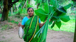 Hilsa amp Arum Spinach Village Cooking Recipe by Village Food Life [upl. by Rivers]