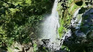 Beautiful Jeju Island  Cheonjeyeon Waterfalls 4K [upl. by Hnahym]