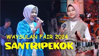 SANTRI PEKOK  MUTIA FT MEGA  TS PROJECTS WAYSULAN FAIR 2024 [upl. by Cara182]