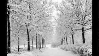 Vivaldi  Winter RV 297  Itzhak Perlman [upl. by Amorete]