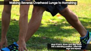 Walking Reverse Overhead Lunge To Hamstring [upl. by Lette]