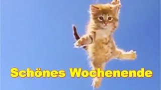 🤩 Freitag Samstag Sonntag 🤩 lachen feiern fröhlich sein 🤩 Ich wünsche Dir ein schönes Wochenende 🤩 [upl. by Aimek]