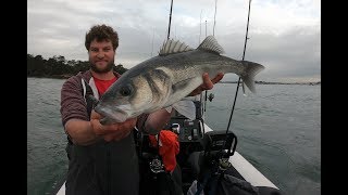 Golfe du Morbihan peche au bar en bretagne 2019 [upl. by Semadar]