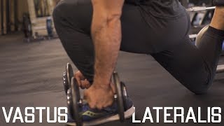 How To Grow Your Outer Quads  Vastus Lateralis Exercies “Quad Sweep” [upl. by Hahseram]