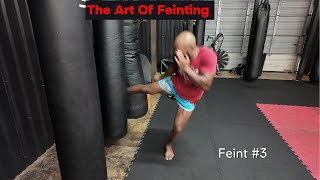 The Art of Feinting martialarts [upl. by Nodnahs]