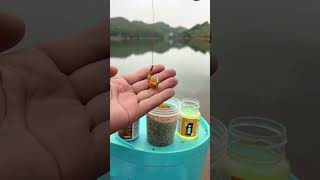 How to use this bait so it doesnt get lost on the fishing hook [upl. by Sevy]