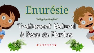 Pipi au lit traitement naturel à base de plantes [upl. by Ariak25]