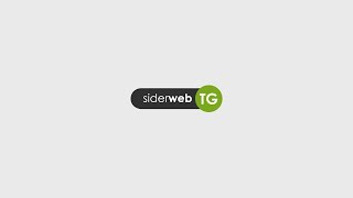 siderweb TG Edizione del 25 ottobre 2024 [upl. by Mckay]