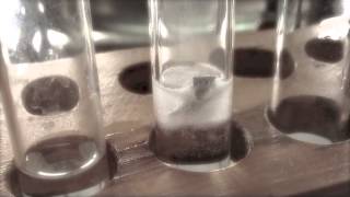 Magnesium ribbon and HCl experiment [upl. by Stacia]