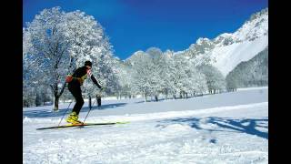 Radiobeitrag Ramsau am Dachstein [upl. by Snave608]