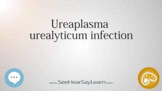 Ureaplasma urealyticum infection 🔊 [upl. by Lladnek]