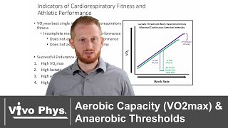 Aerobic Capacity VO2max and Anaerobic Thresholds [upl. by Nonrev]