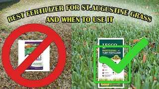 The Best Fertilizer For St Augustine Grass  When To Fertilize Your Lawn [upl. by Oht613]