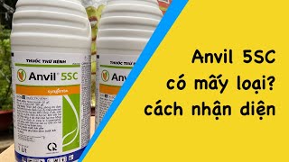 Anvil 5SC Syngenta Cách nhận diện hàng Syngenta và giá sản phẩm [upl. by Tracey]