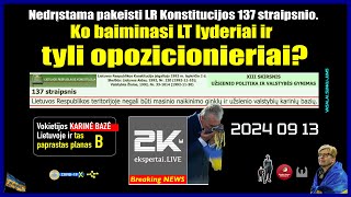 Vasalai nedrįsta pakeisti LR Konstitucijos 137 straipsnio Kas lemia tokį neryžtą [upl. by Swayne]