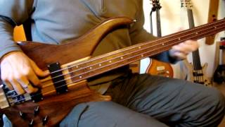 Peavey C4 Zephyr fretless 20 sounds [upl. by Monk54]