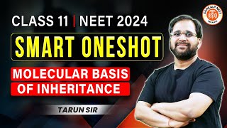 MOLECULAR BASIS OF INHERITANCE CLASS 12 ONE SHOT  NEET 2024  SMART ONE SHOT  BOTANY BY TARUN SIR [upl. by Soirtimid]