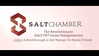 Portable Salt Therapy device The SALT FX® home Halogenerator [upl. by Pollack]