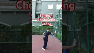 Bajiquan Chè bù dǐng zhǎng Some Baji techniques can be played with reversed direction sports [upl. by Lyrrad206]