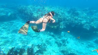 Snorkeling  Key West Florida Worlds Third Largest Coral Reef [upl. by Chloe]