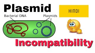 Plasmid incompatibility in hindi [upl. by Eeresed199]