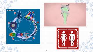 VIDEO DE BIOETICA DERECHOS HUMANOS Y BIOTECNOLOGIA 720 x 1280 [upl. by Peers]