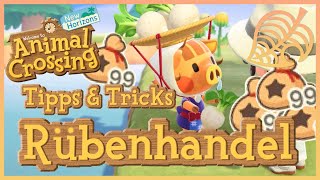 Einer DER BESTEN Rübenpreise durch Maxi 🏝 Animal Crossing New Horizons Part 21 [upl. by Mcmaster]