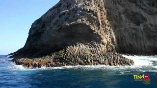 LA GOMERA Los Organos  Whalewatching [upl. by Ordnaxela]