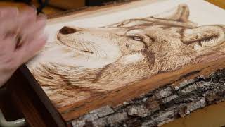 Understanding Typical Woodburning Mistakes [upl. by Chastain]