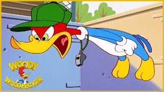 Woody Woodpecker Show  Be a Sport  Full Episode  Cartoons For Children [upl. by Kotta]