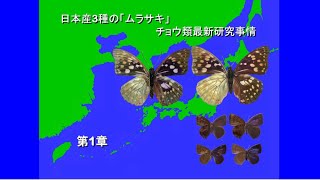 No09J 1 オオムラサキ及び日本産コムラサキ亜科の他の3種の幼虫は、アリ類やハチ類を口臭で撃退する [upl. by Joel794]