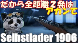 【BF5 🐼】武器解説 Selbstlader 1906 レートを上げたZHみたいな奴 【PS4】 [upl. by Kayne299]