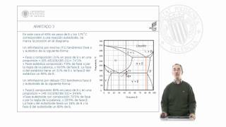 Problema diagramas de fase binarios   UPV [upl. by Noslrac661]