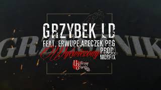 Grzybek LD Feat Erwupe Areczek PRG  Wyćwiczony ProdMorfix [upl. by Yekcor676]