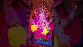 Chiplun ganpati [upl. by Helbon]