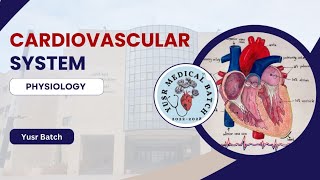 Physiology L9 C2 Hemodynamics [upl. by Montagu]